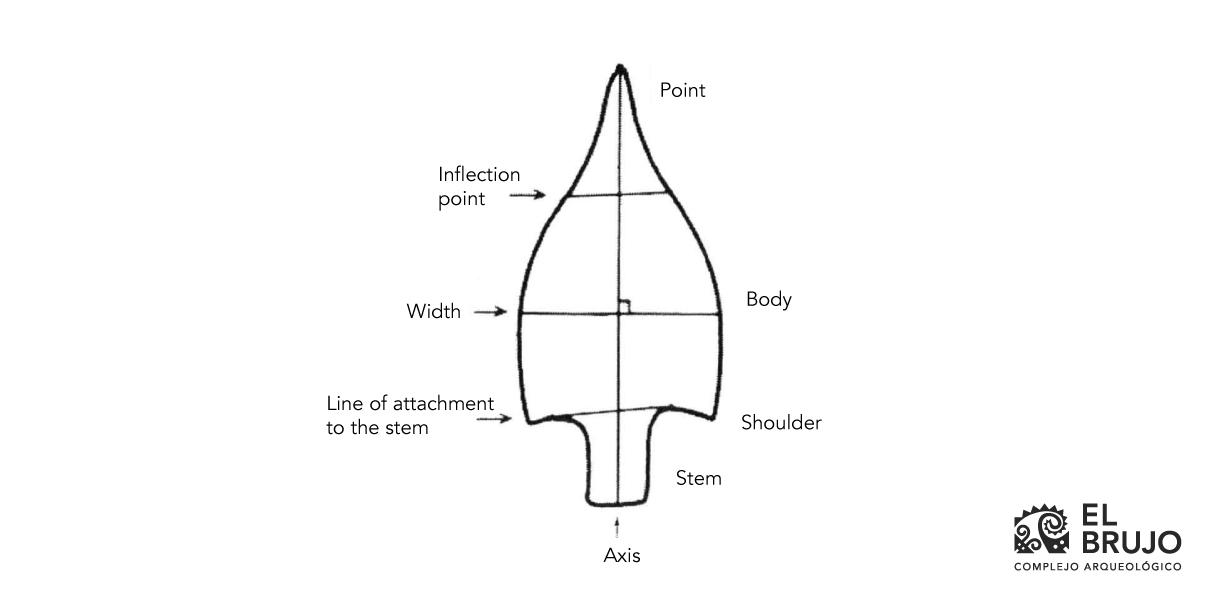 General form of a stemmed Paiján